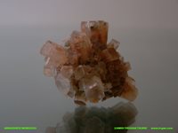 Aragonite