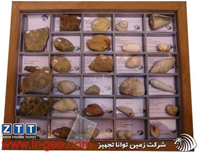  مجموعه اختصاصی شکم پایان 
