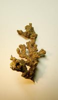 Copper native