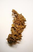 Copper native