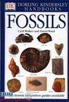 fossils 