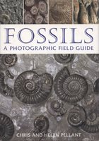 FOSSILS 