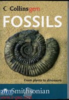 FOSSILS 