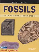 FOSSILS 