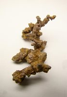 Copper native