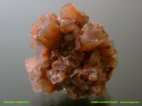 Aragonite