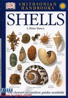  SHELLS 