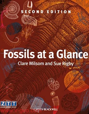  FOSSILS AT A GLANCE 
