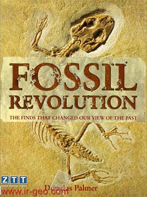  Fossils Revolotion 