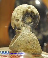  آمونیت AMONITE 