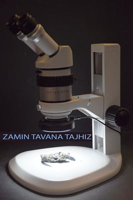زوم  استریو میکروسکوپ