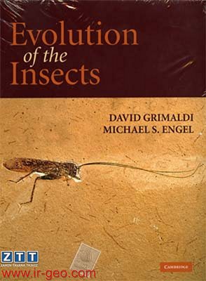  Evolution of the Insects 