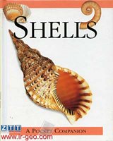  A pocket Companion Shells 