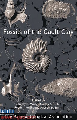  Fossils of the Gault Clay 